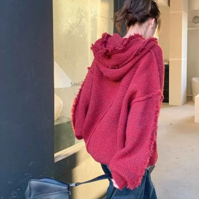 Autumn and Winter Thick Hoodie - Winter Clothing Essentials For Women reseña y precio