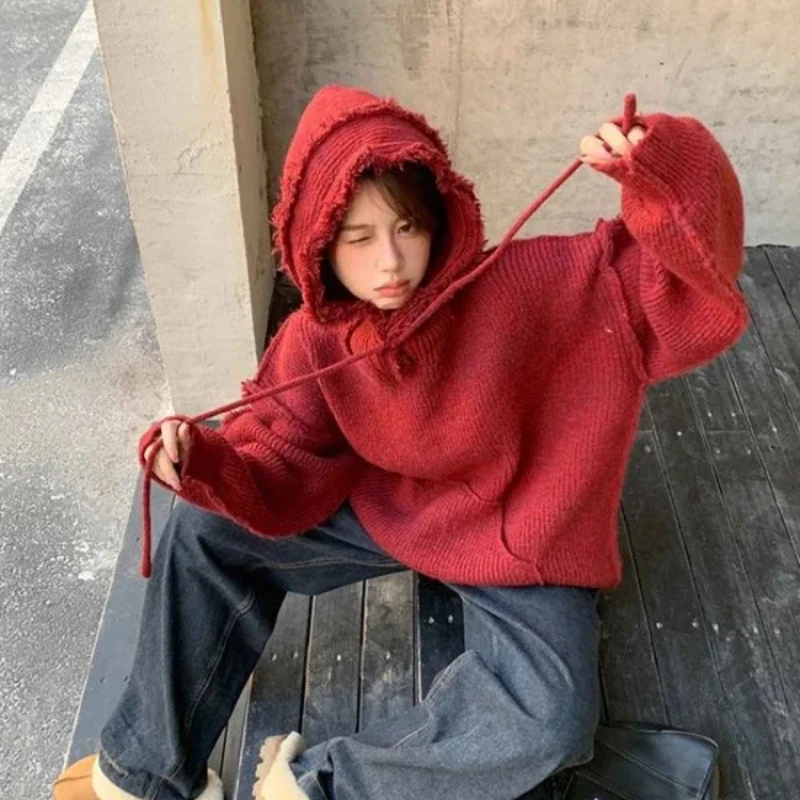 Autumn and Winter Thick Hoodie - Winter Clothing Essentials For Women reseña y precio